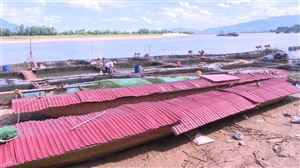 Thanh Thủy khắc phục thiệt hại cá lồng trên sông Đà 