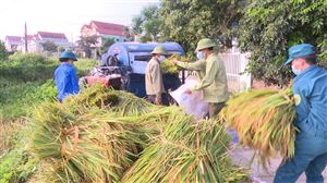 Hội Nông dân tổ chức gặt lúa giúp các hộ gia đình bị cách ly tại Khu 7 xã Tân Phương