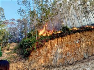 Kịp thời khống chế vụ cháy rừng tại khu 12 xã Tu Vũ
