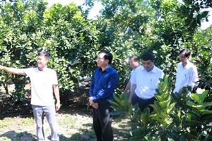 Hội Nông dân huyện Thanh Thủy: Phát huy vai trò trong phát triển kinh tế, xây dựng nông thôn mới