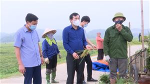 Bí thư Huyện ủy Nguyễn Minh Tường kiểm tra công tác khắc phục thiệt hại do ảnh hưởng của dông lốc và mưa đá gây ra.