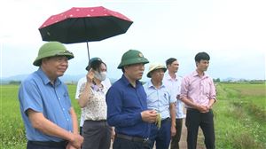 Đồng chí Bí thư Huyện ủy kiểm tra công tác sản xuất nông nghiệp tại xã Đoan Hạ và Đồng Trung